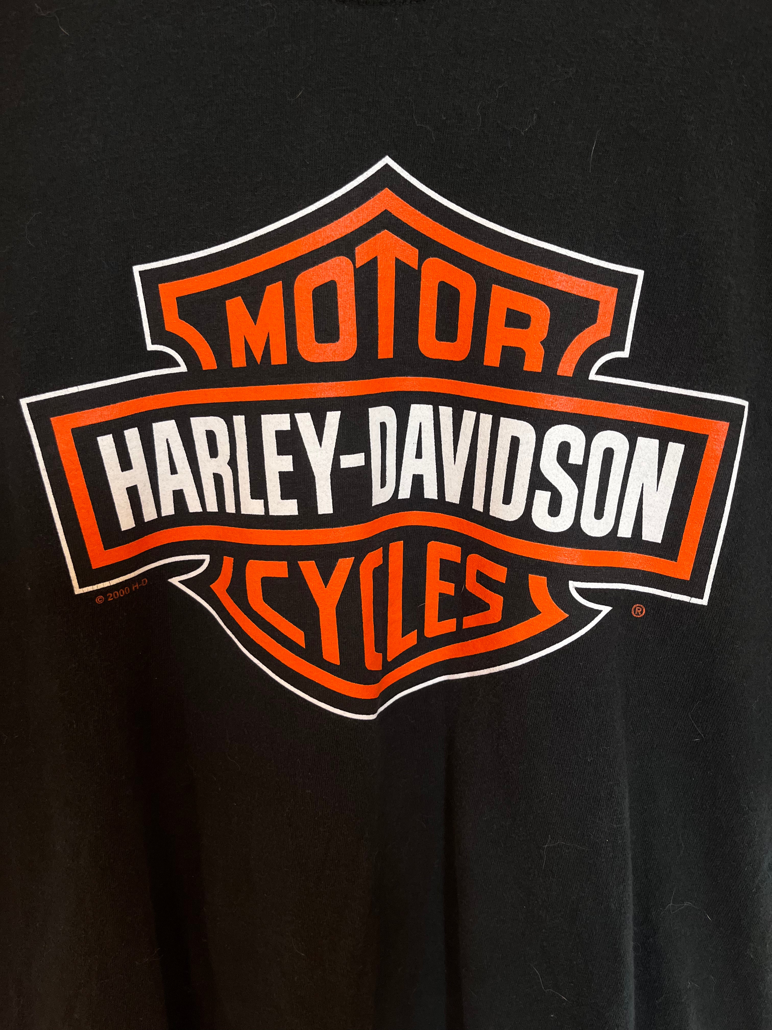 Vintage Harley Davidson T-Shirt